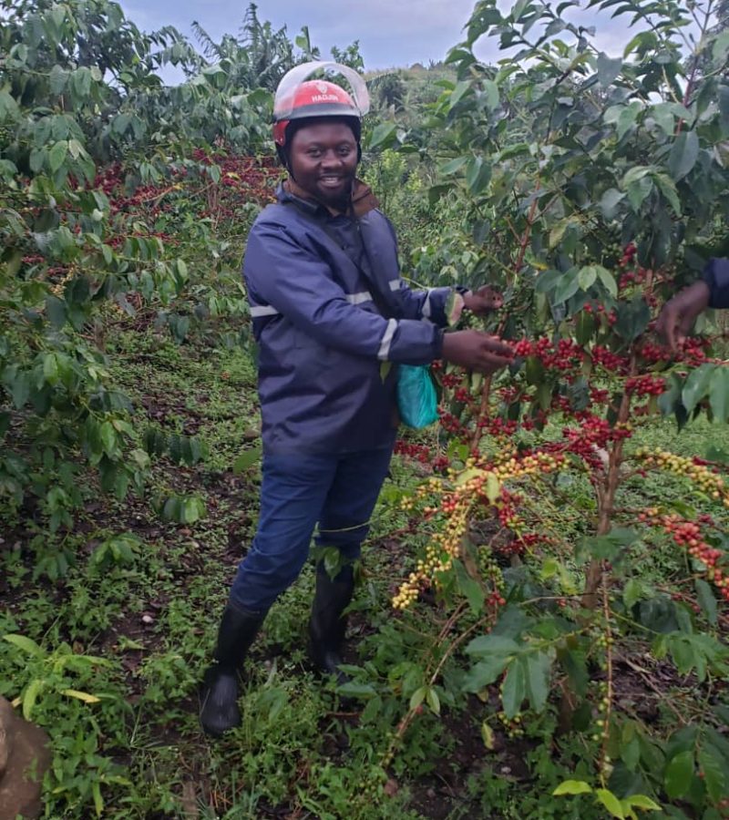 WhatsApp Image 2025-07-01 at 20.42.06