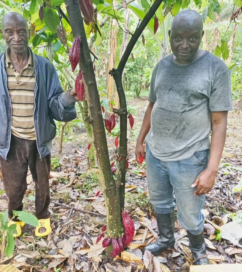 WhatsApp Image 2025-07-05 à 05.54.11_5cb86431